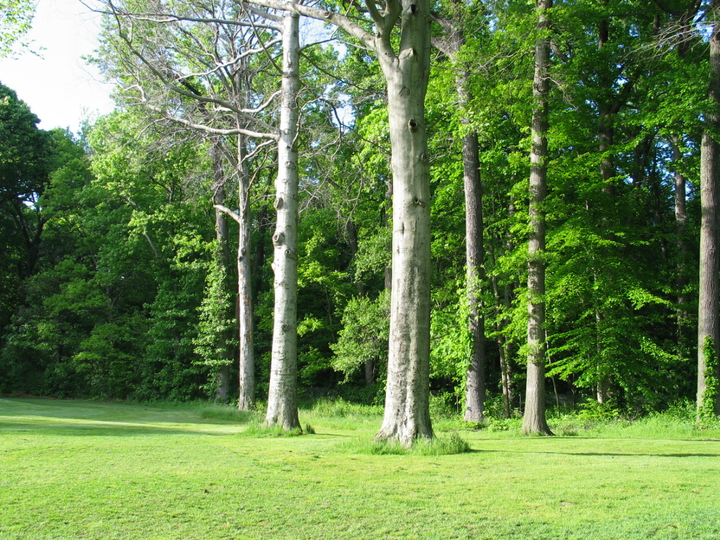 305-0571_IMG.JPG